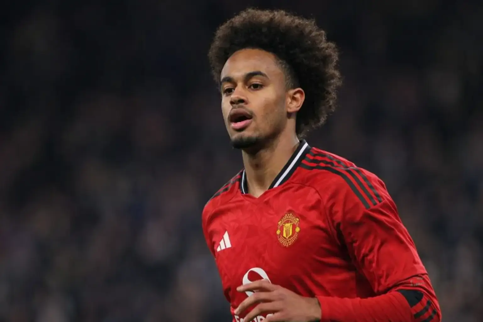 A Manchester United-drukkerek hány százaléka szeretné, ha Joshua Zirkzee távozna az Old Traffordról idén nyáron?