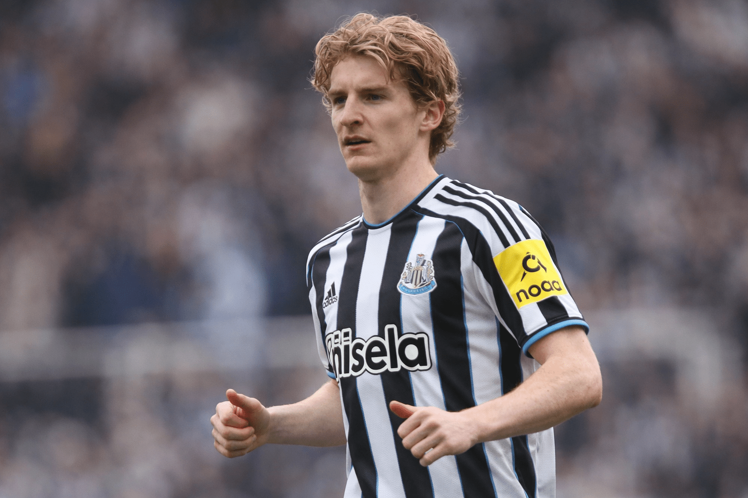 Az Arsenal, a Liverpool Anthony Gordon átigazolási ösztönzést kapott a Newcastle-sztár kilépési szándékával „kiderült